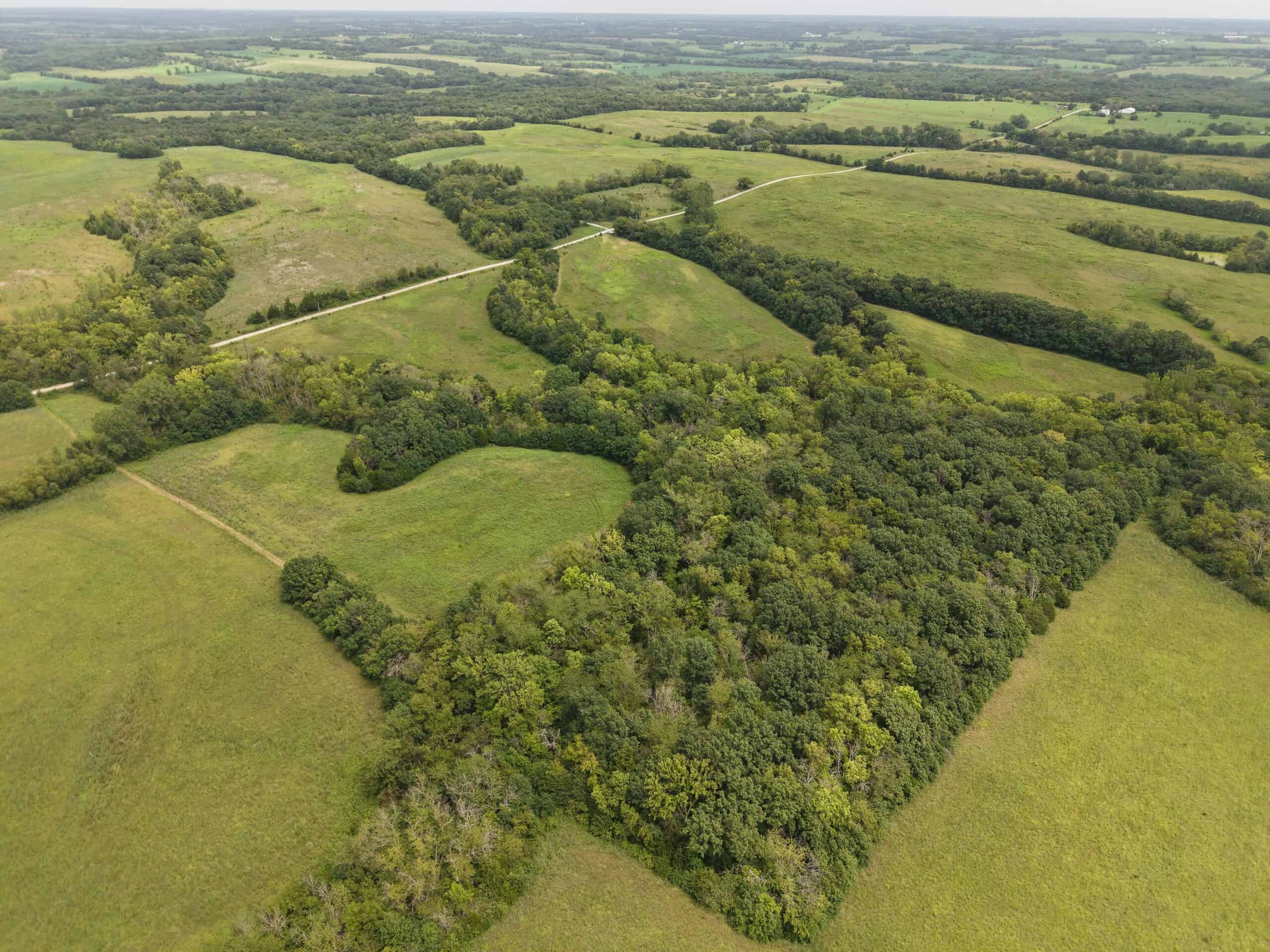 40 Acre m/l Hunting Tract near McFall, MO
