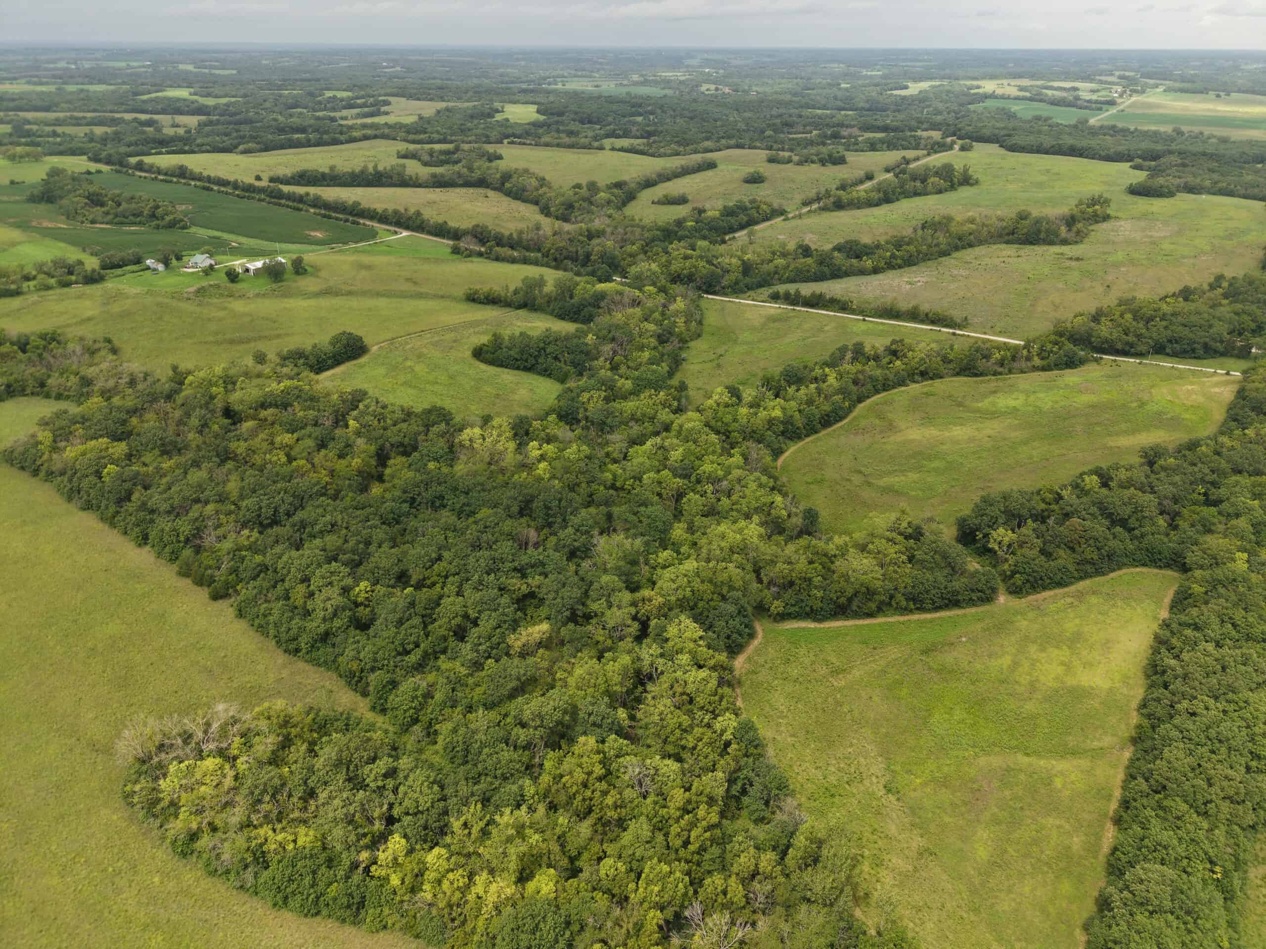 40 Acre m/l Hunting Tract near McFall, MO