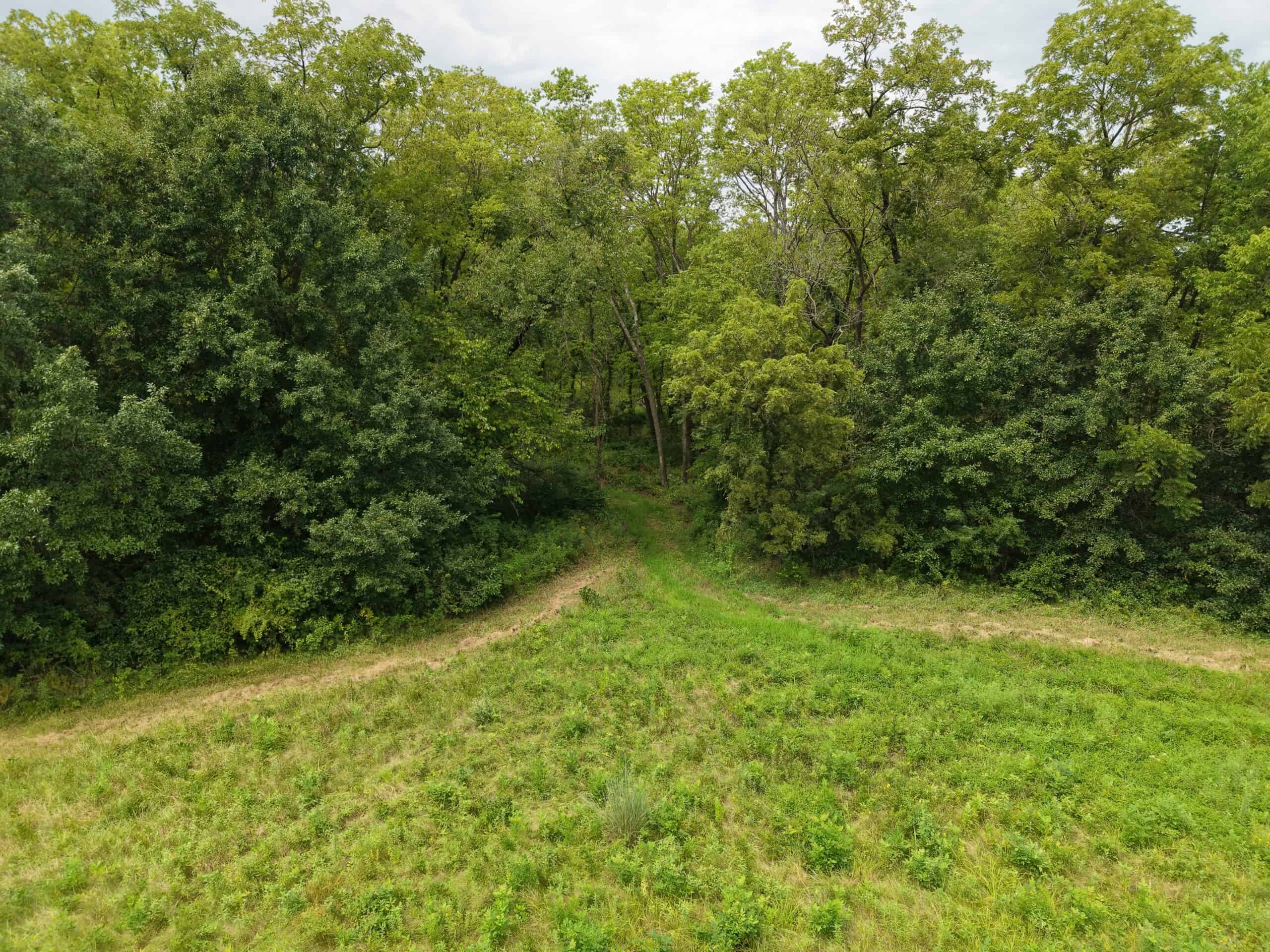 40 Acre m/l Hunting Tract near McFall, MO