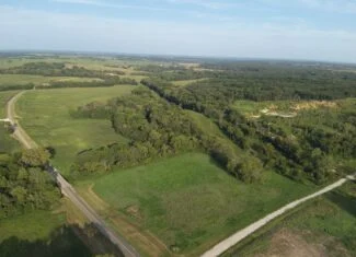 95 Acres m/l Hunting Farm with Income