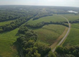 95 Acres m/l Hunting Farm with Income