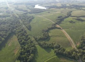 95 Acres m/l Hunting Farm with Income
