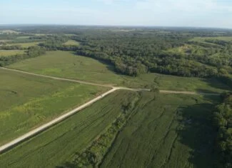 95 Acres m/l Hunting Farm with Income