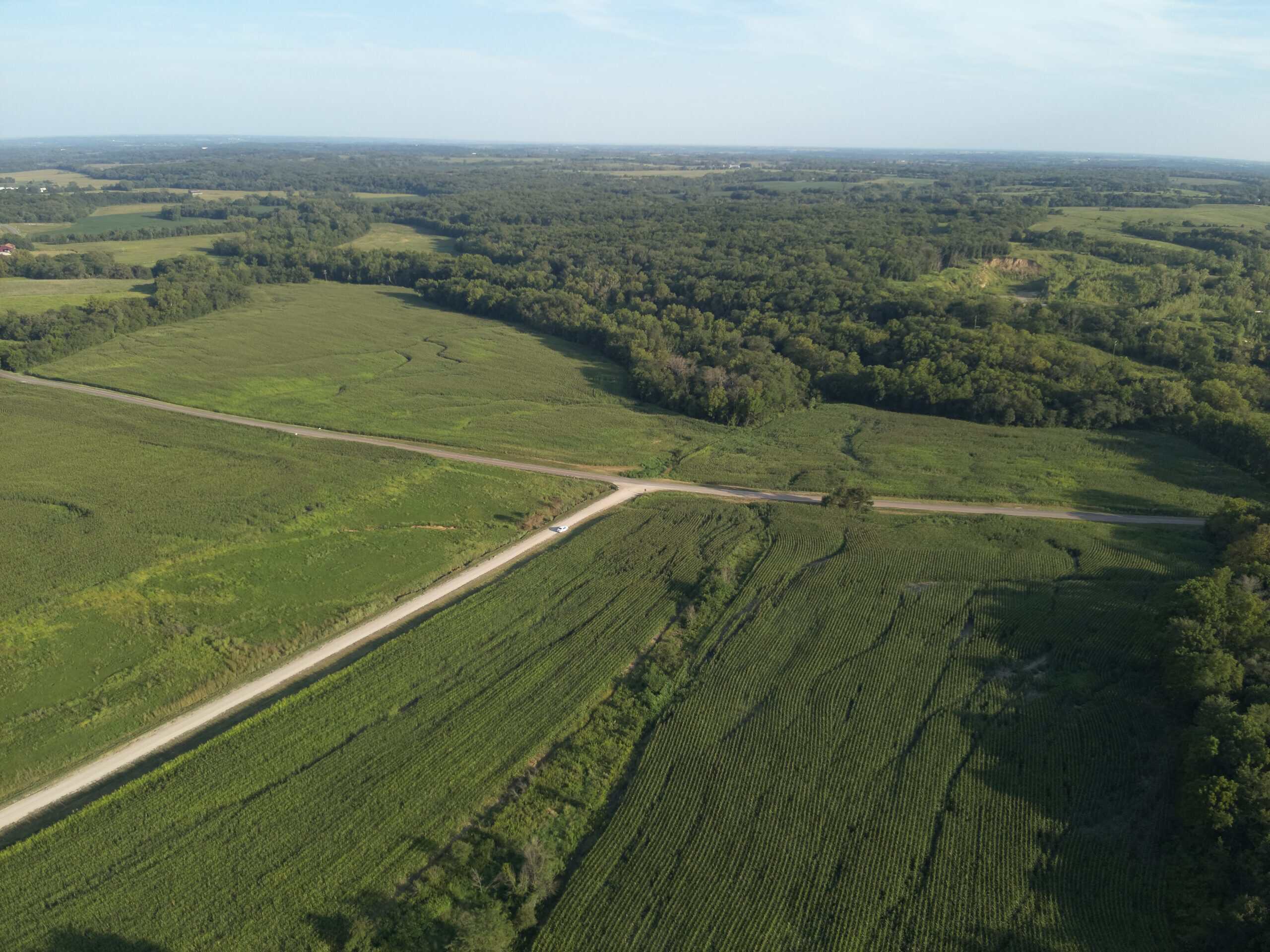 95 Acres m/l Hunting Farm with Income
