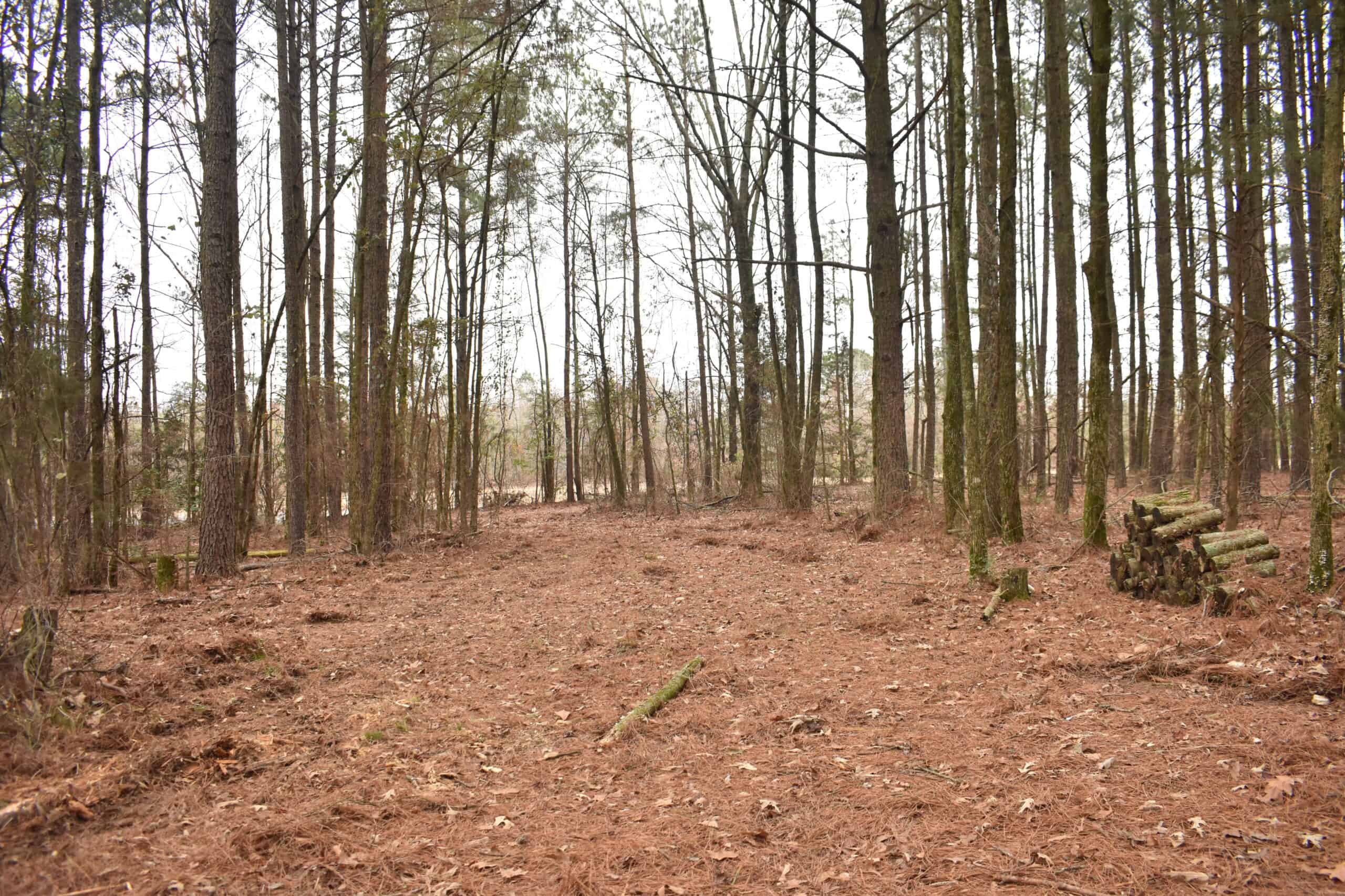 Scenic Wooded Acreage Near Lake Greeson & Murfreesboro