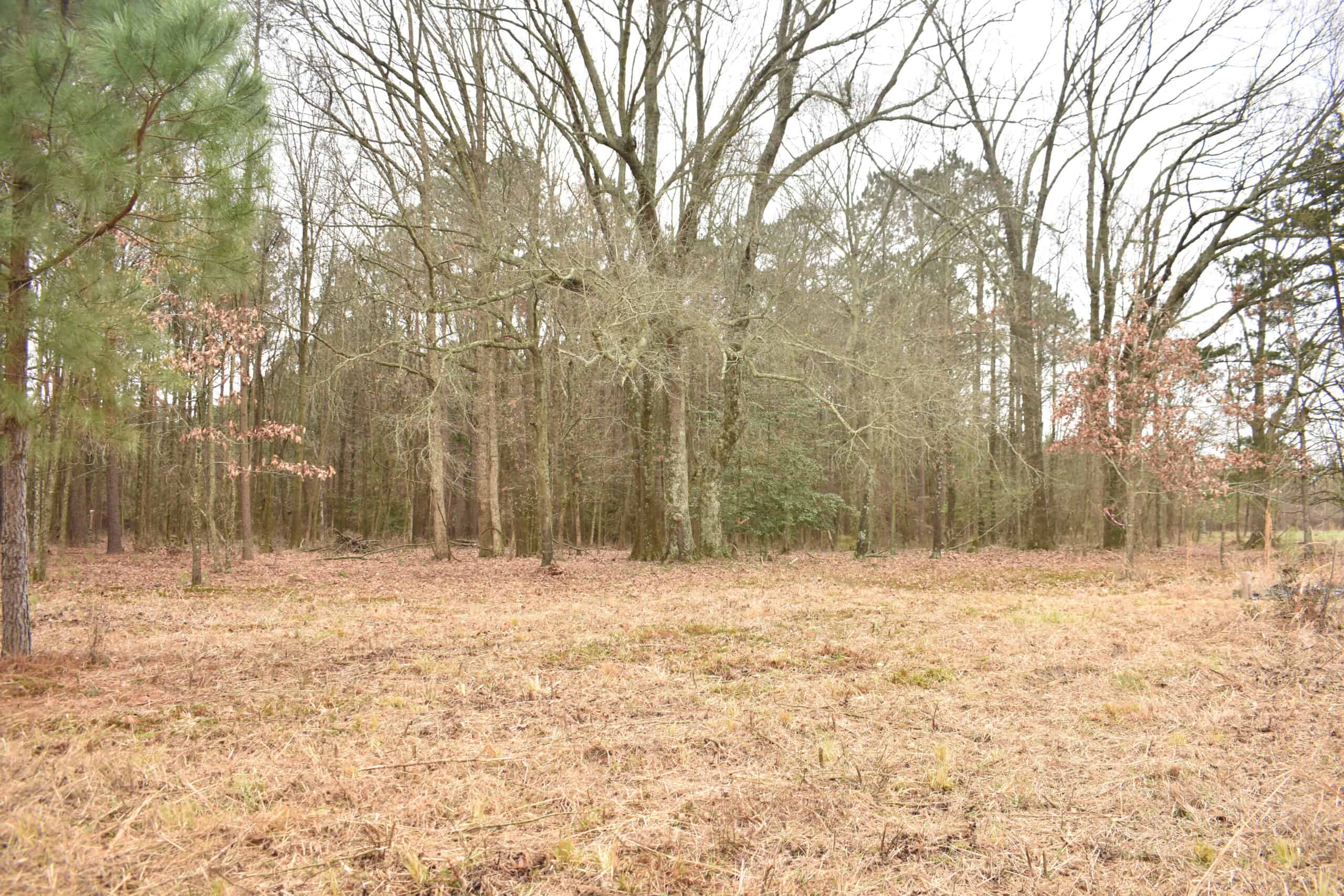 Scenic Wooded Acreage Near Lake Greeson & Murfreesboro