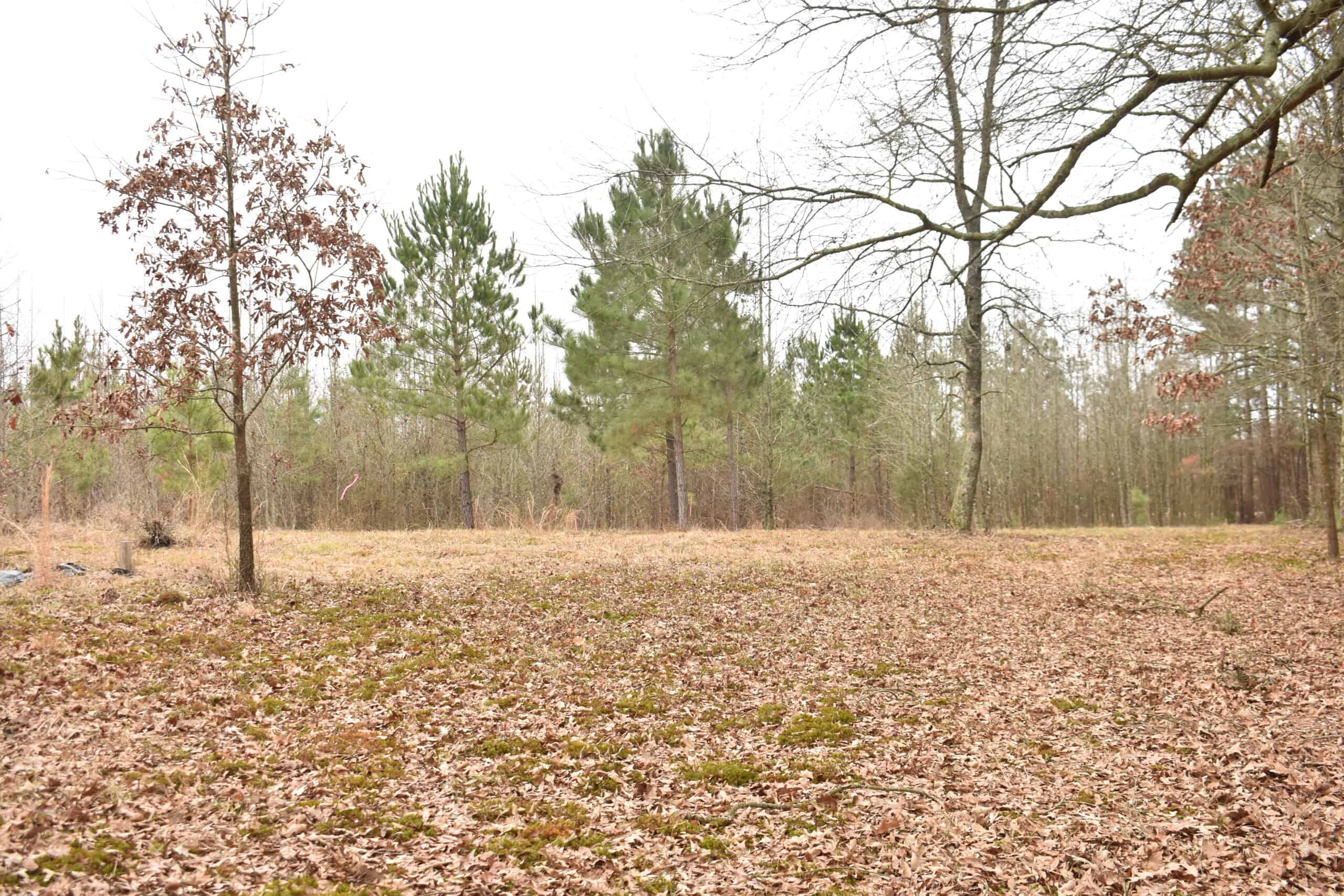 Scenic Wooded Acreage Near Lake Greeson & Murfreesboro