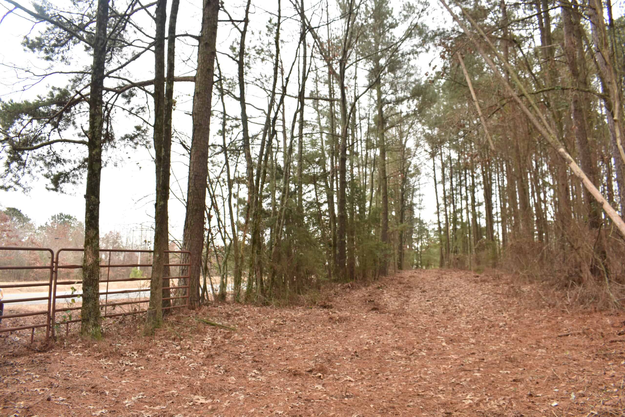 Scenic Wooded Acreage Near Lake Greeson & Murfreesboro