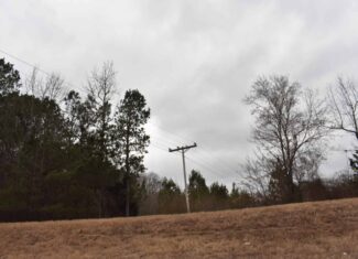 Scenic Wooded Acreage Near Lake Greeson & Murfreesboro