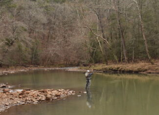 Scenic Wooded Acreage Near Lake Greeson & Murfreesboro