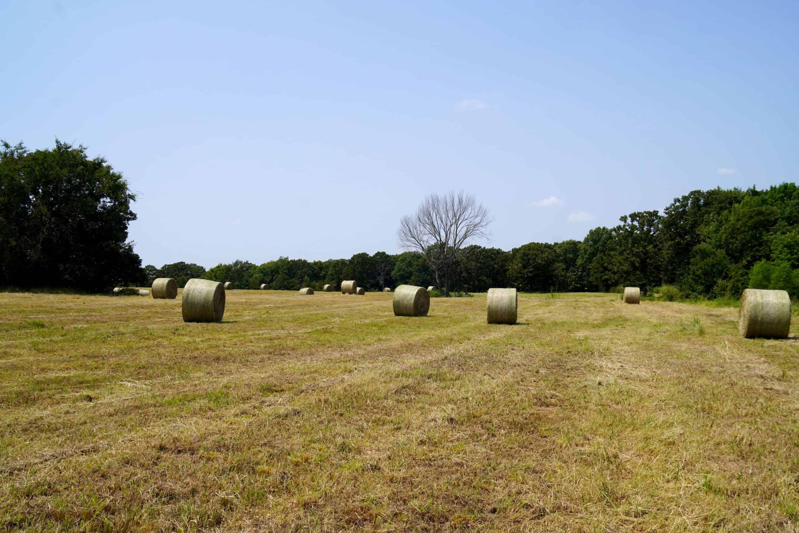 Rural Okfuskee County, OK Real Estate Auction Home & 40 Ac+/-