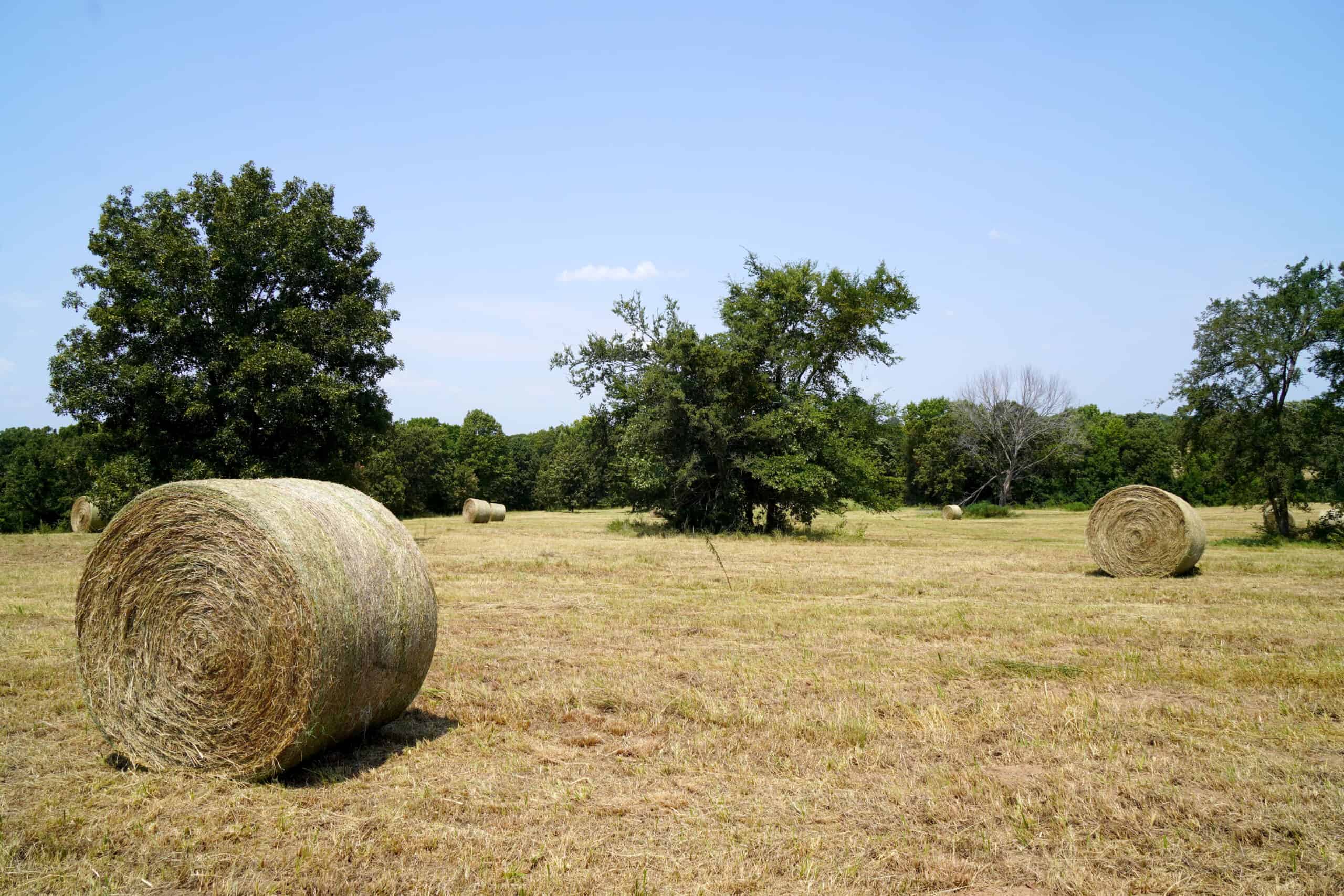 Rural Okfuskee County, OK Real Estate Auction Home & 40 Ac+/-