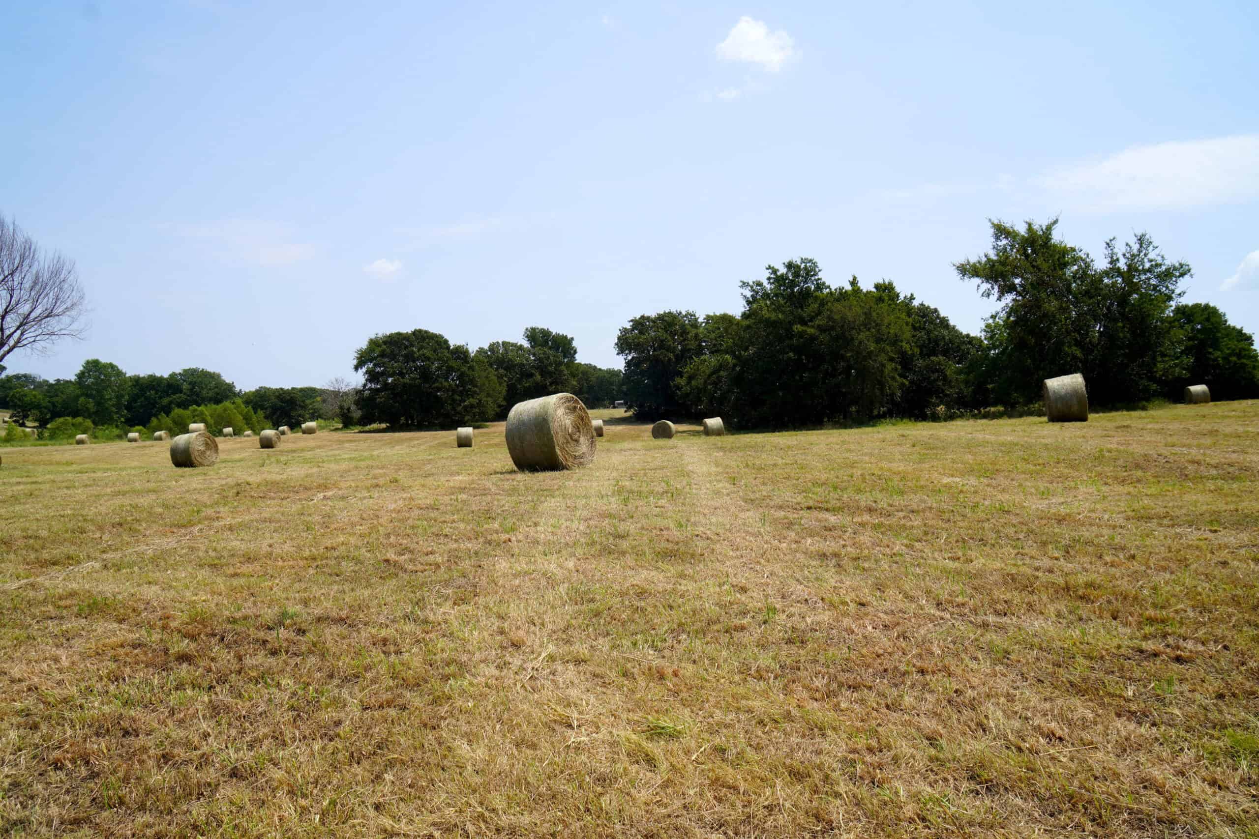 Rural Okfuskee County, OK Real Estate Auction Home & 40 Ac+/-