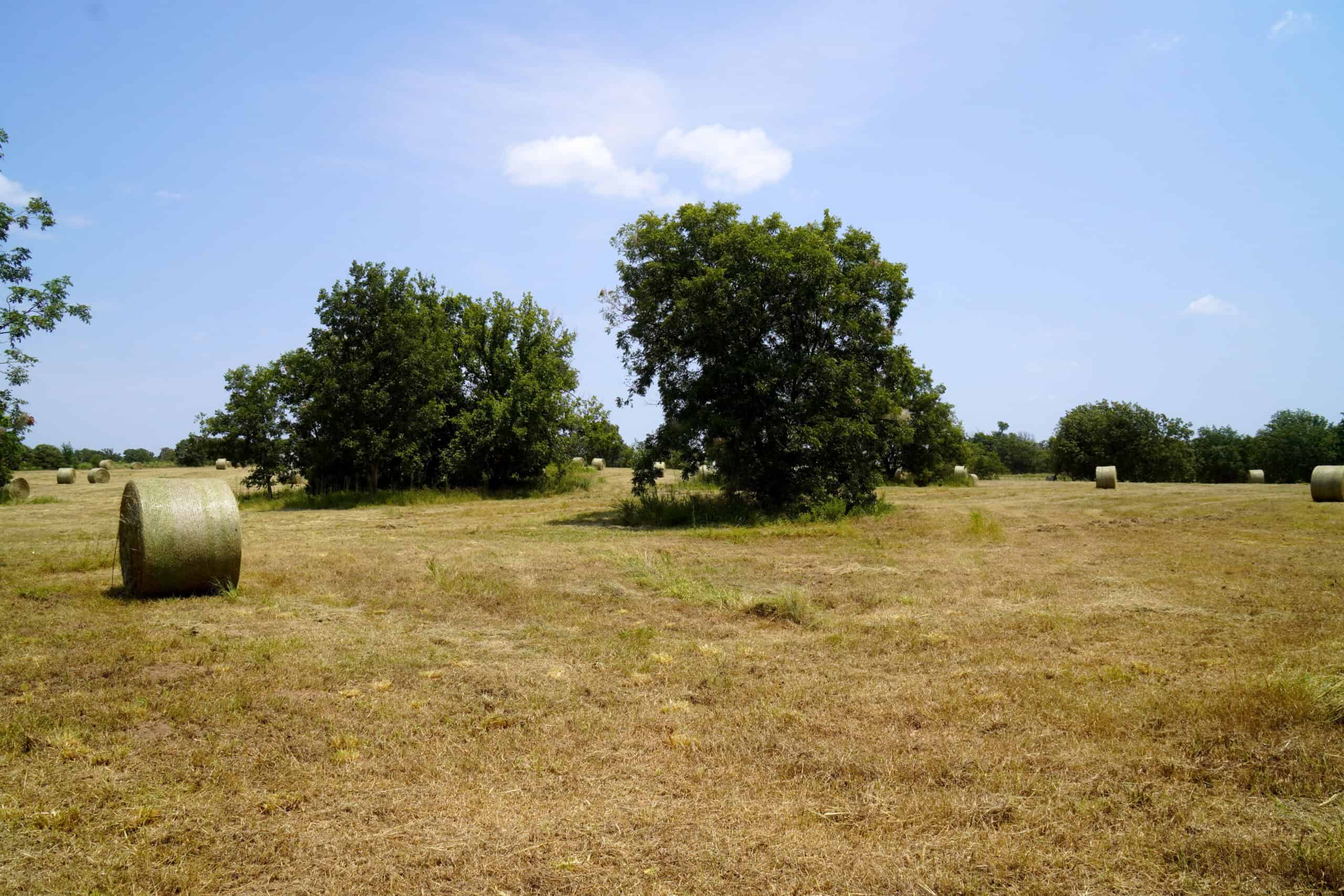 Rural Okfuskee County, OK Real Estate Auction Home & 40 Ac+/-