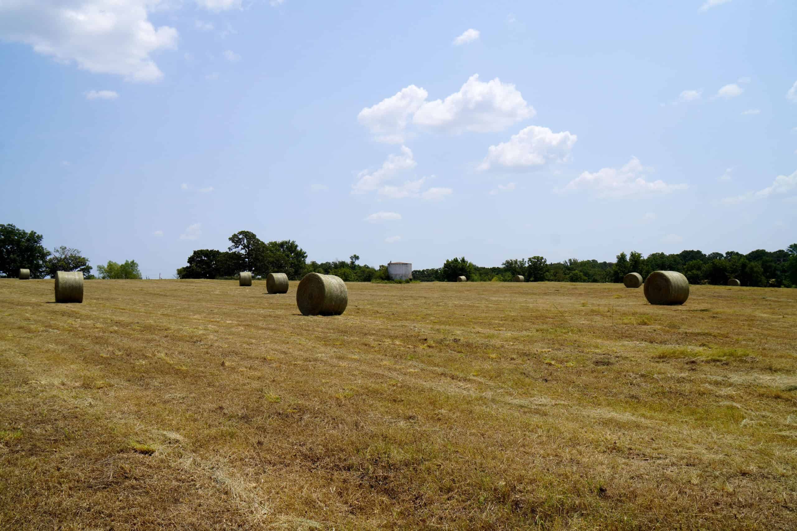 Rural Okfuskee County, OK Real Estate Auction Home & 40 Ac+/-