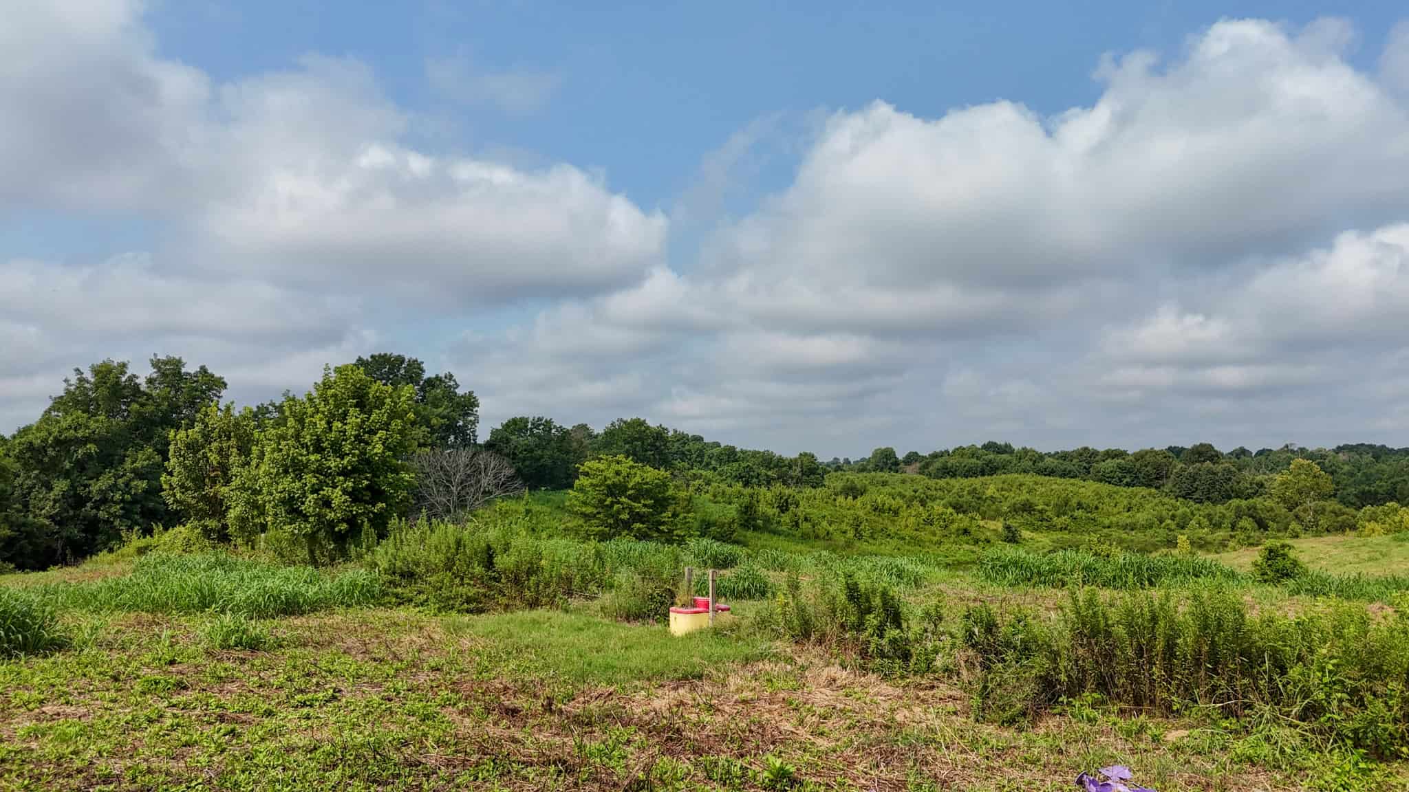 82- Acre Cattle Farm For Sale in Hornbeak, TN