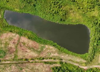 82- Acre Cattle Farm For Sale in Hornbeak, TN