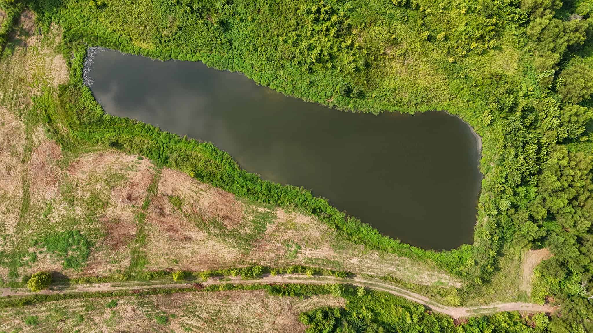 82- Acre Cattle Farm For Sale in Hornbeak, TN