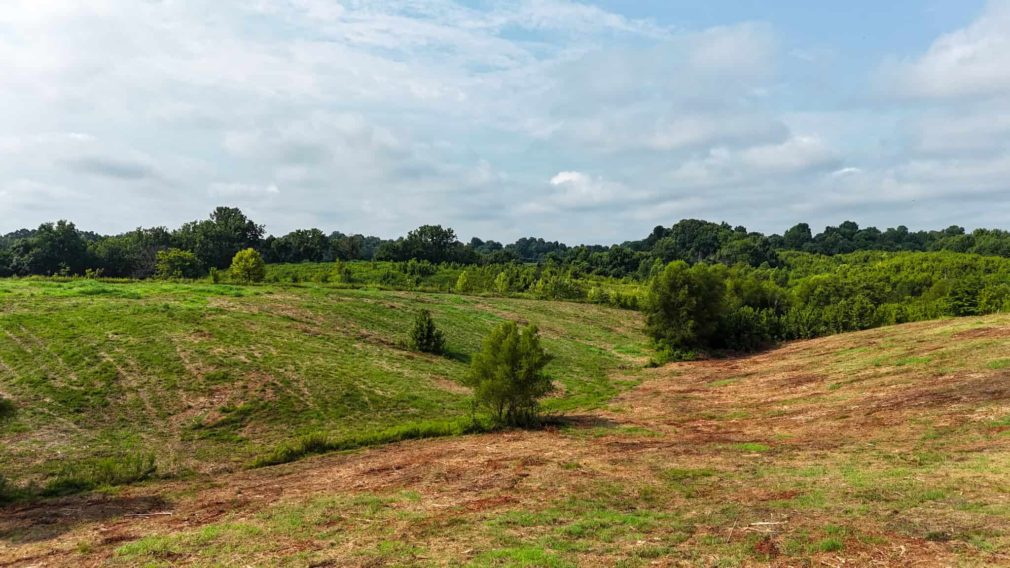 82- Acre Cattle Farm For Sale in Hornbeak, TN