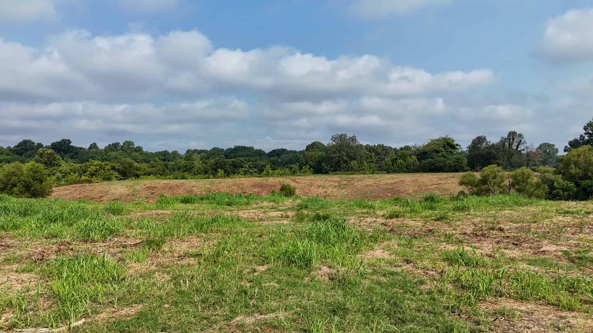 82- Acre Cattle Farm For Sale in Hornbeak, TN