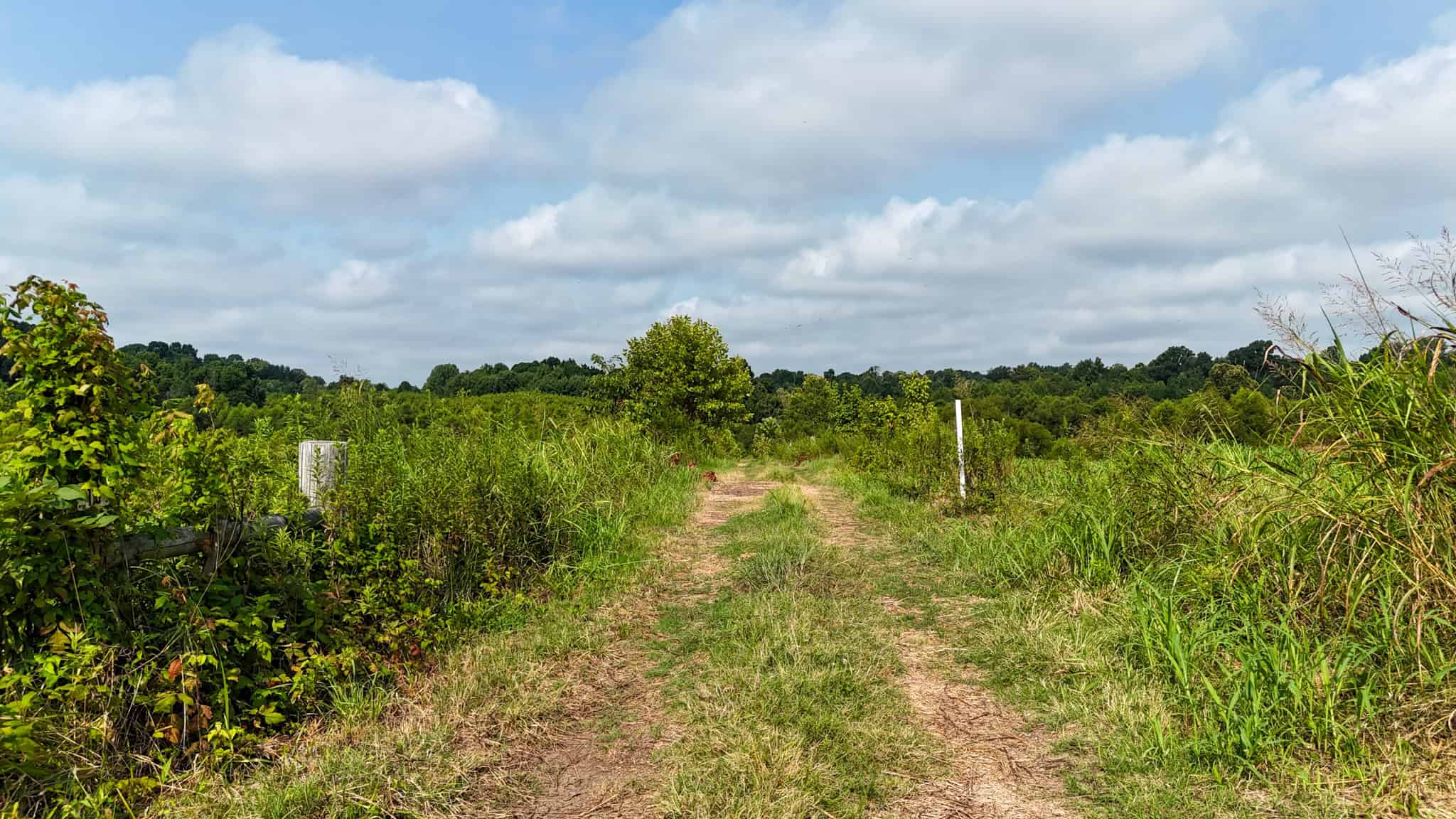 82- Acre Cattle Farm For Sale in Hornbeak, TN