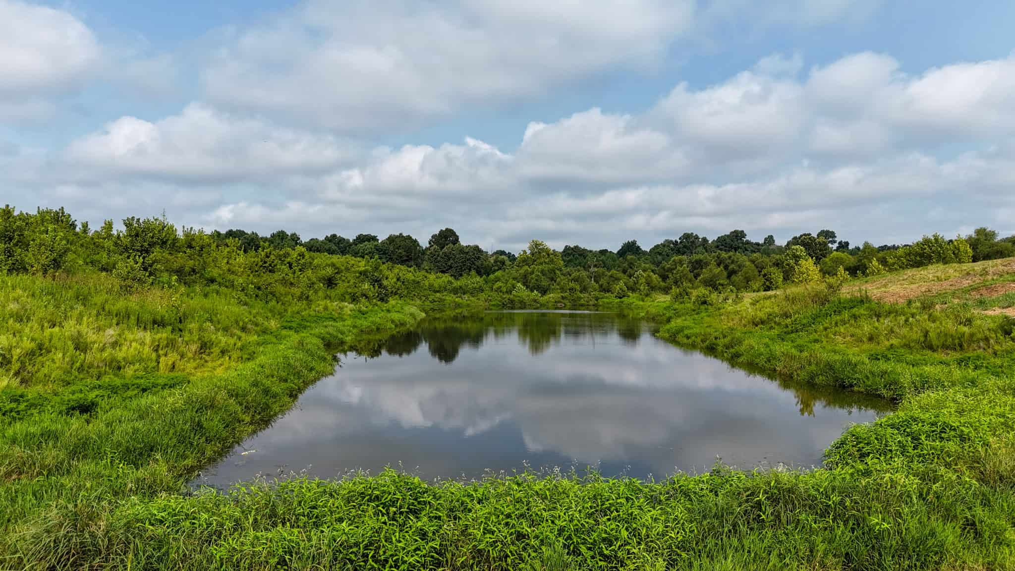 82- Acre Cattle Farm For Sale in Hornbeak, TN