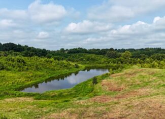82- Acre Cattle Farm For Sale in Hornbeak, TN