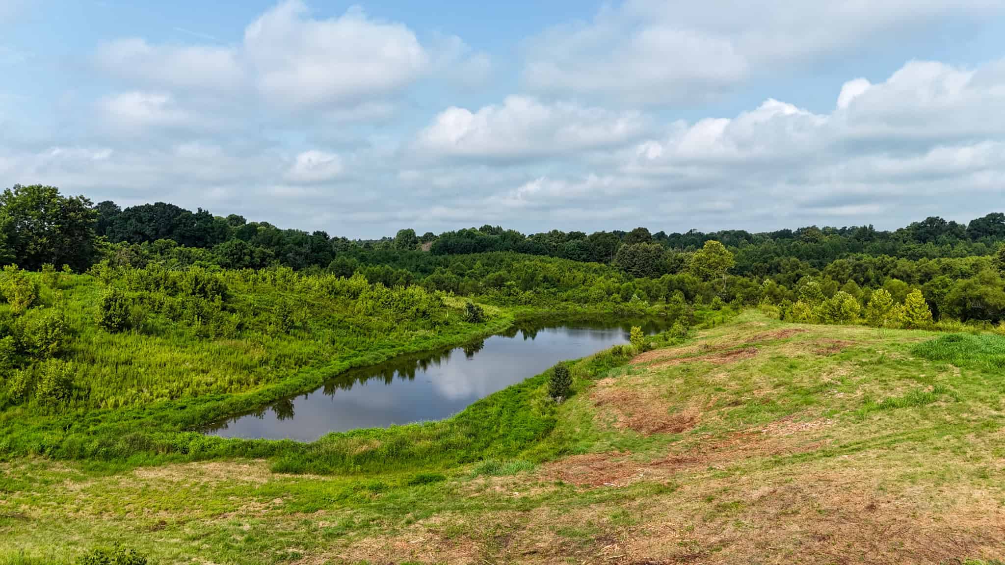 82- Acre Cattle Farm For Sale in Hornbeak, TN