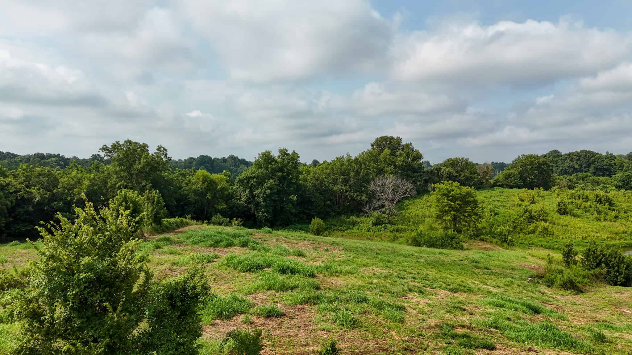 82- Acre Cattle Farm For Sale in Hornbeak, TN