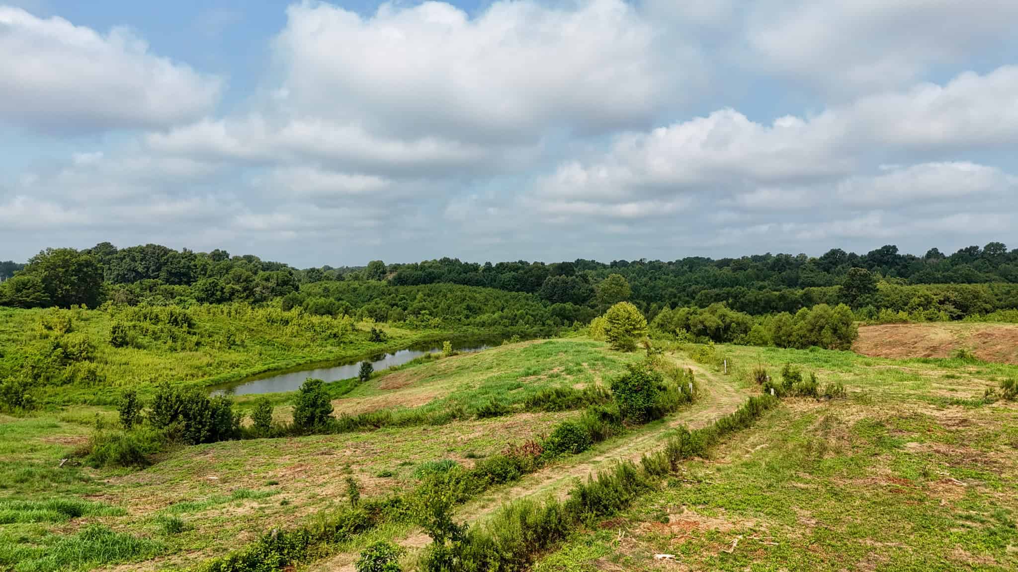 82- Acre Cattle Farm For Sale in Hornbeak, TN