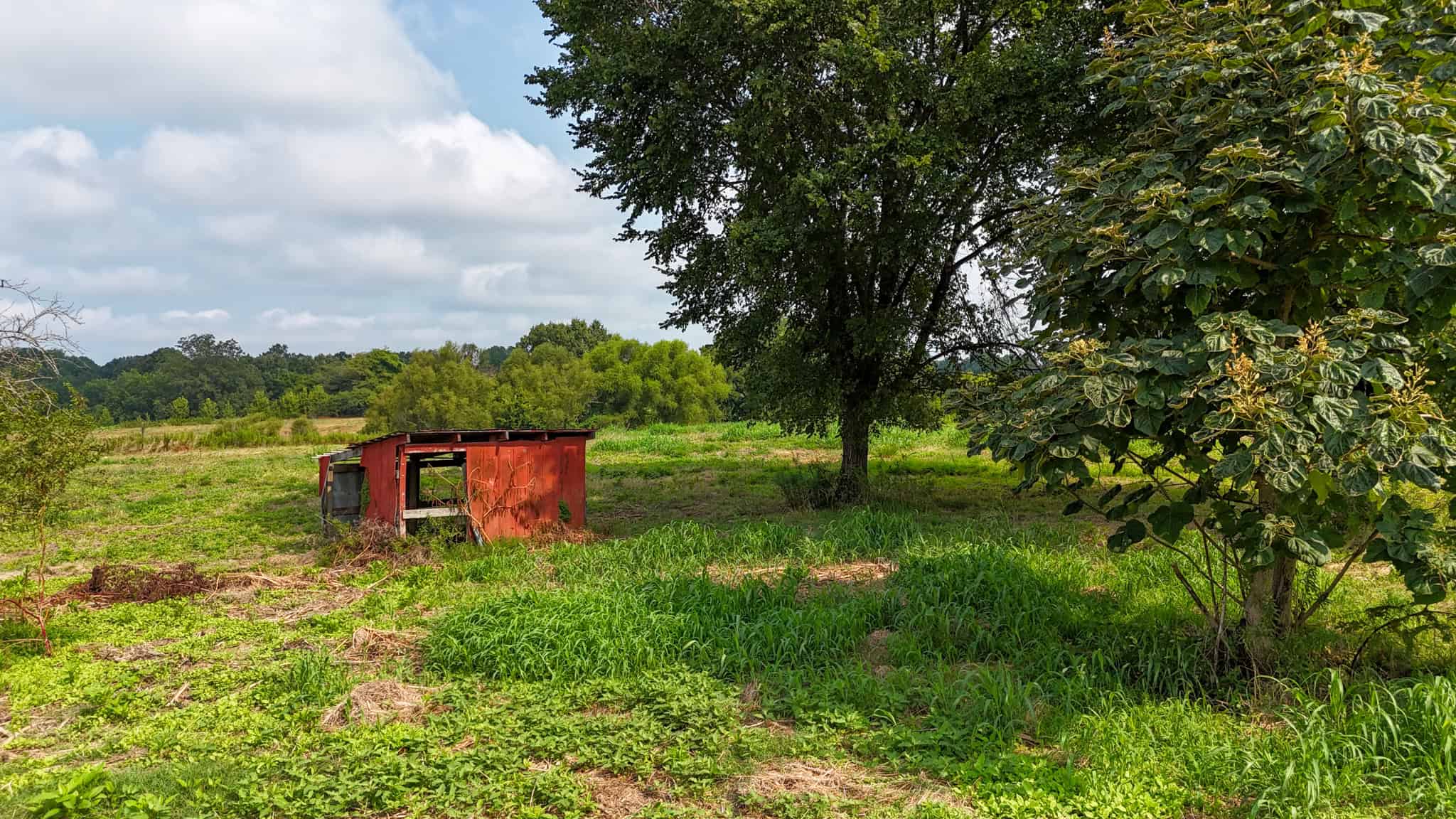 82- Acre Cattle Farm For Sale in Hornbeak, TN