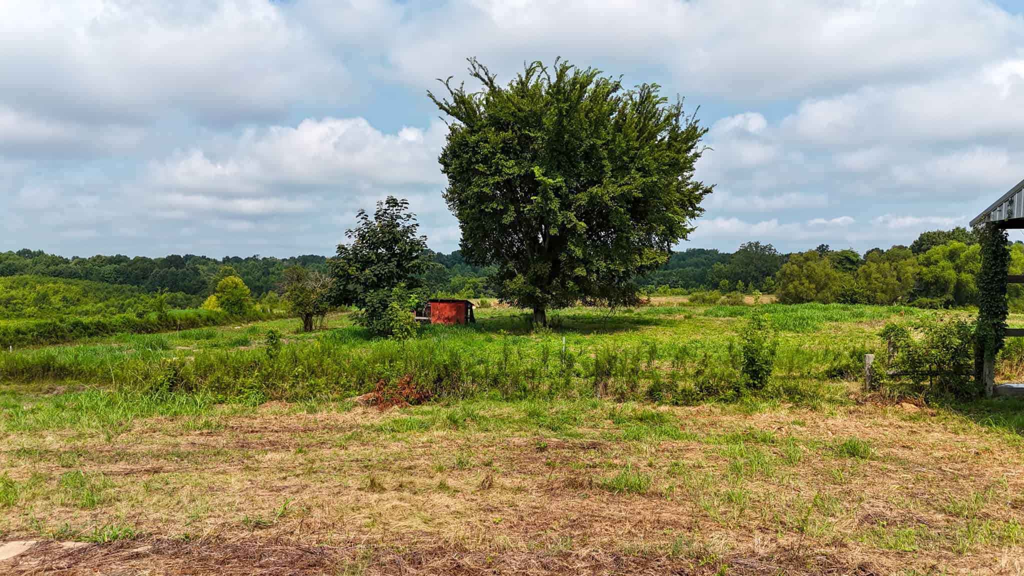 82- Acre Cattle Farm For Sale in Hornbeak, TN