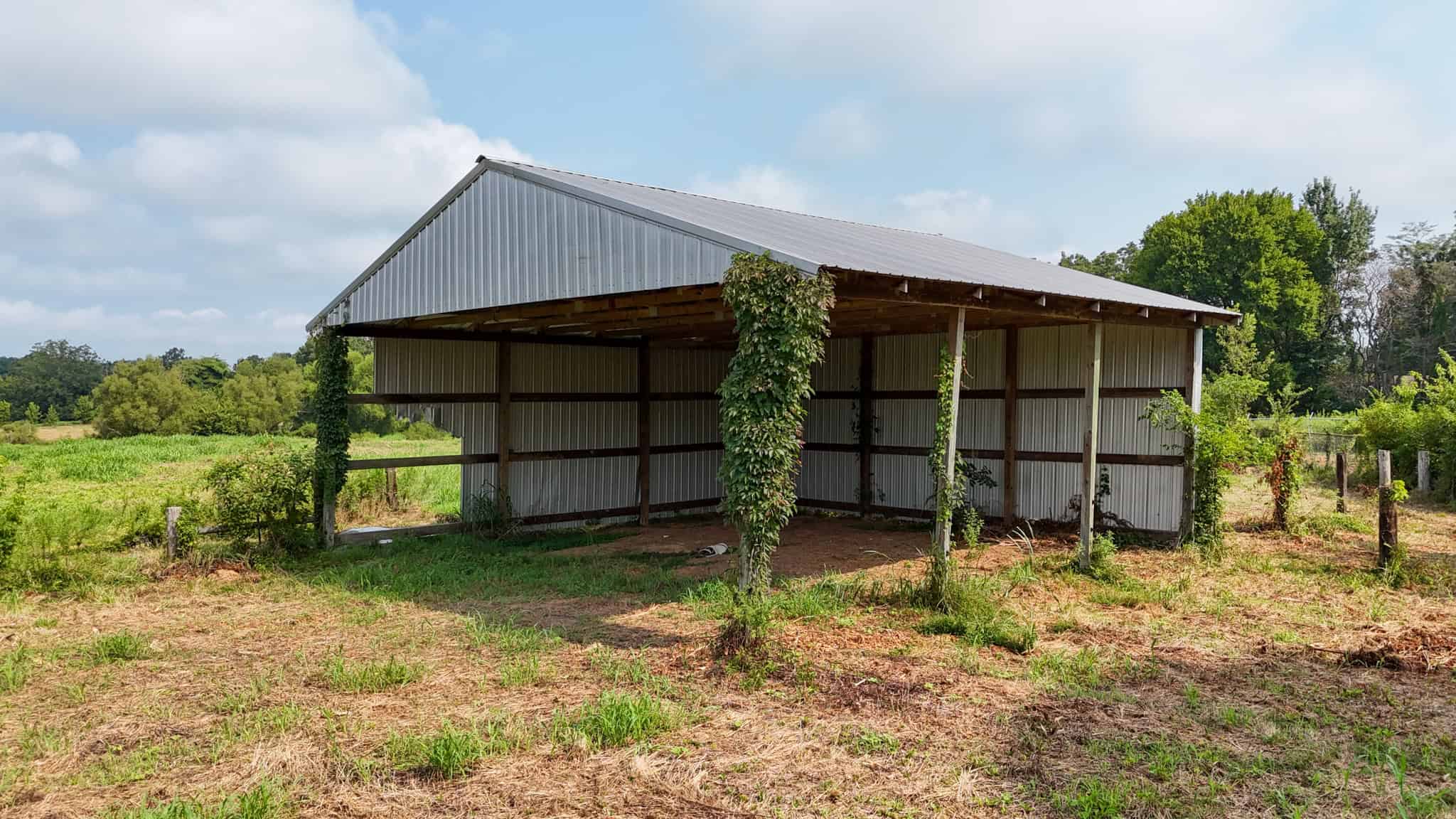 82- Acre Cattle Farm For Sale in Hornbeak, TN