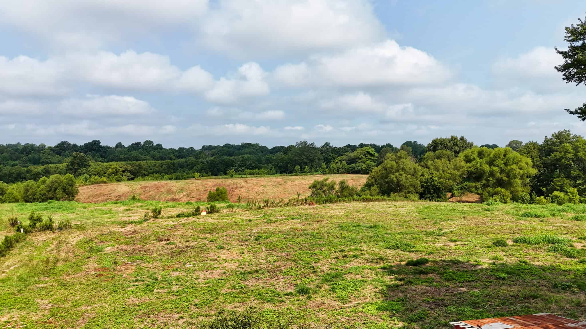 82- Acre Cattle Farm For Sale in Hornbeak, TN