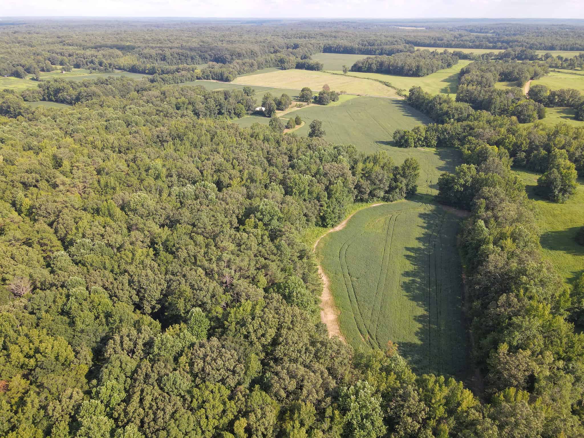 ESTATE FOR SALE IN TN, 56 AC, DEER & TURKEY HUNTING, CREEK, FIELDS, BARN