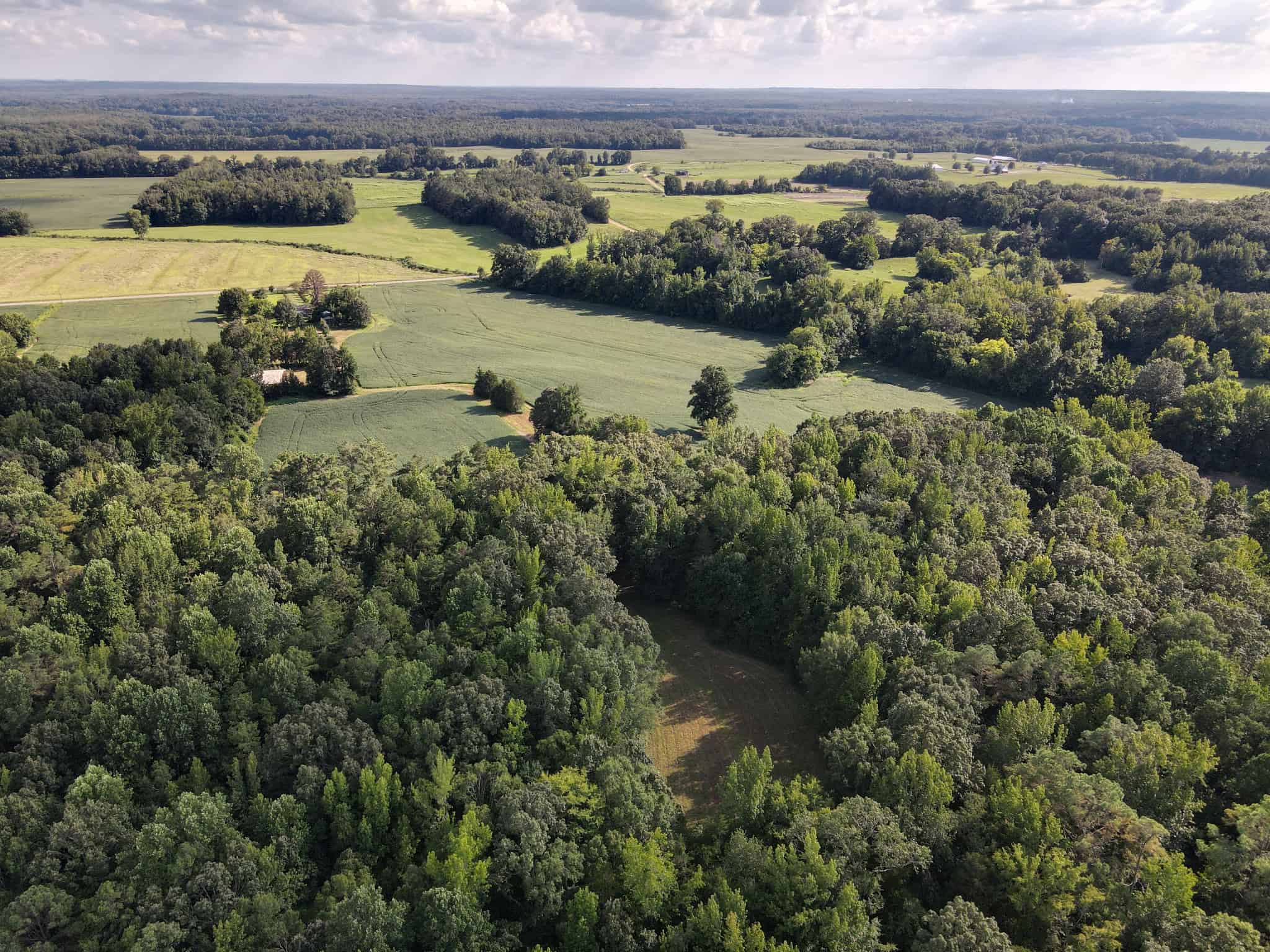 ESTATE FOR SALE IN TN, 56 AC, DEER & TURKEY HUNTING, CREEK, FIELDS, BARN