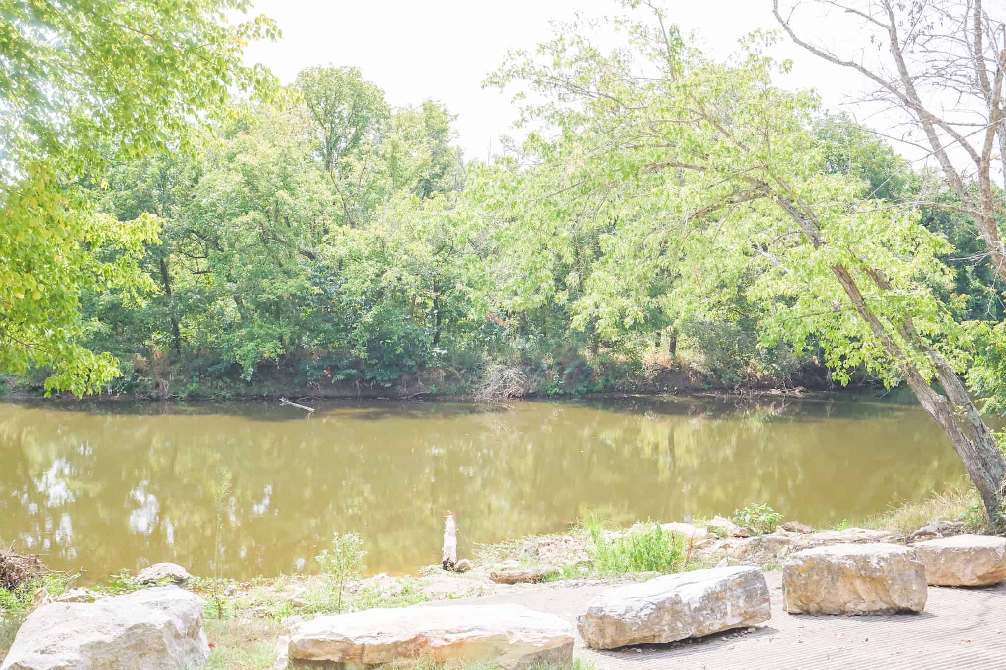LAND FOR SALE IN RURAL NORTH CENTRAL ARKANSAS