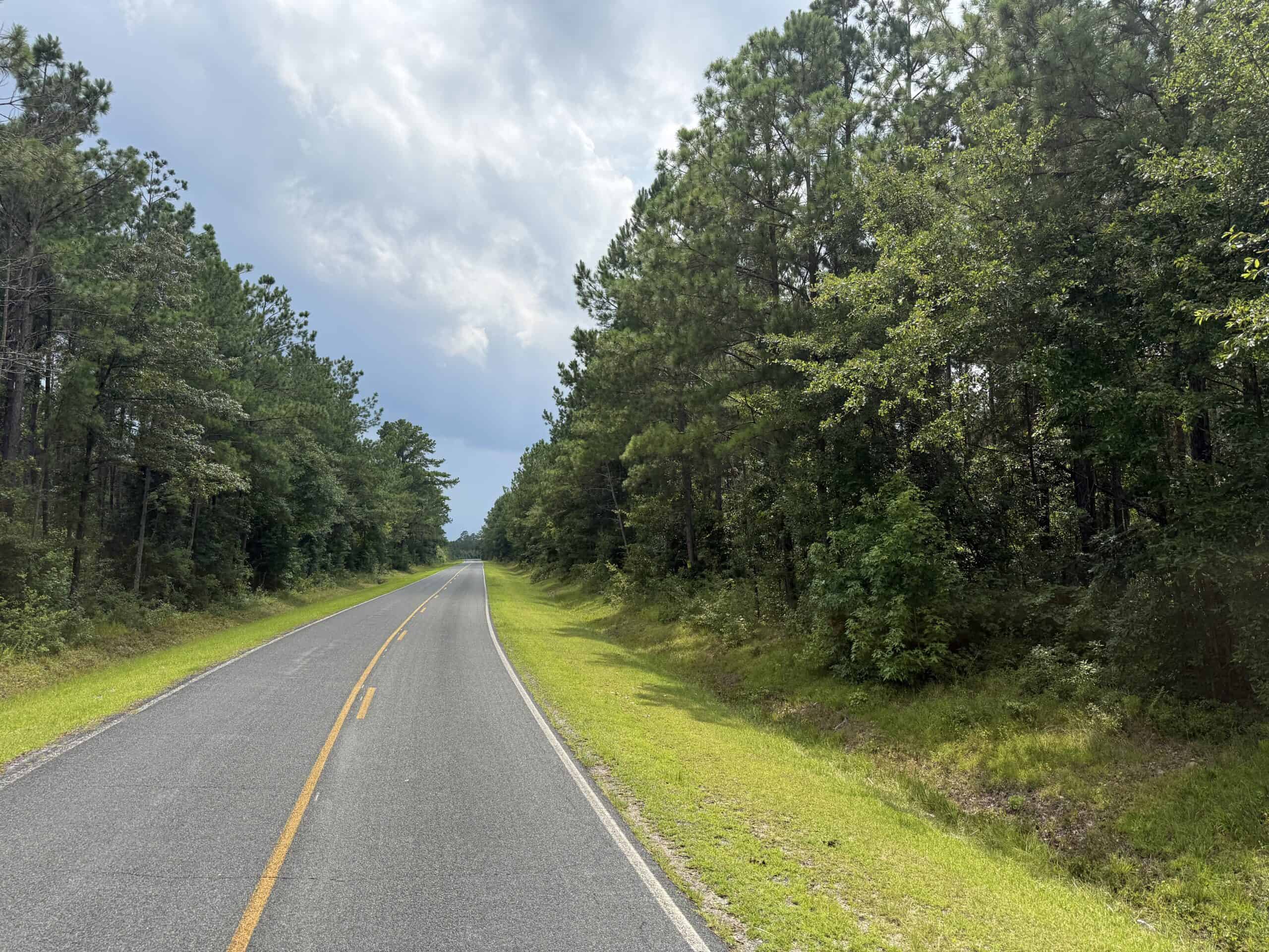 42-Acre Timber & Hunting Land for Sale in Edward, NC