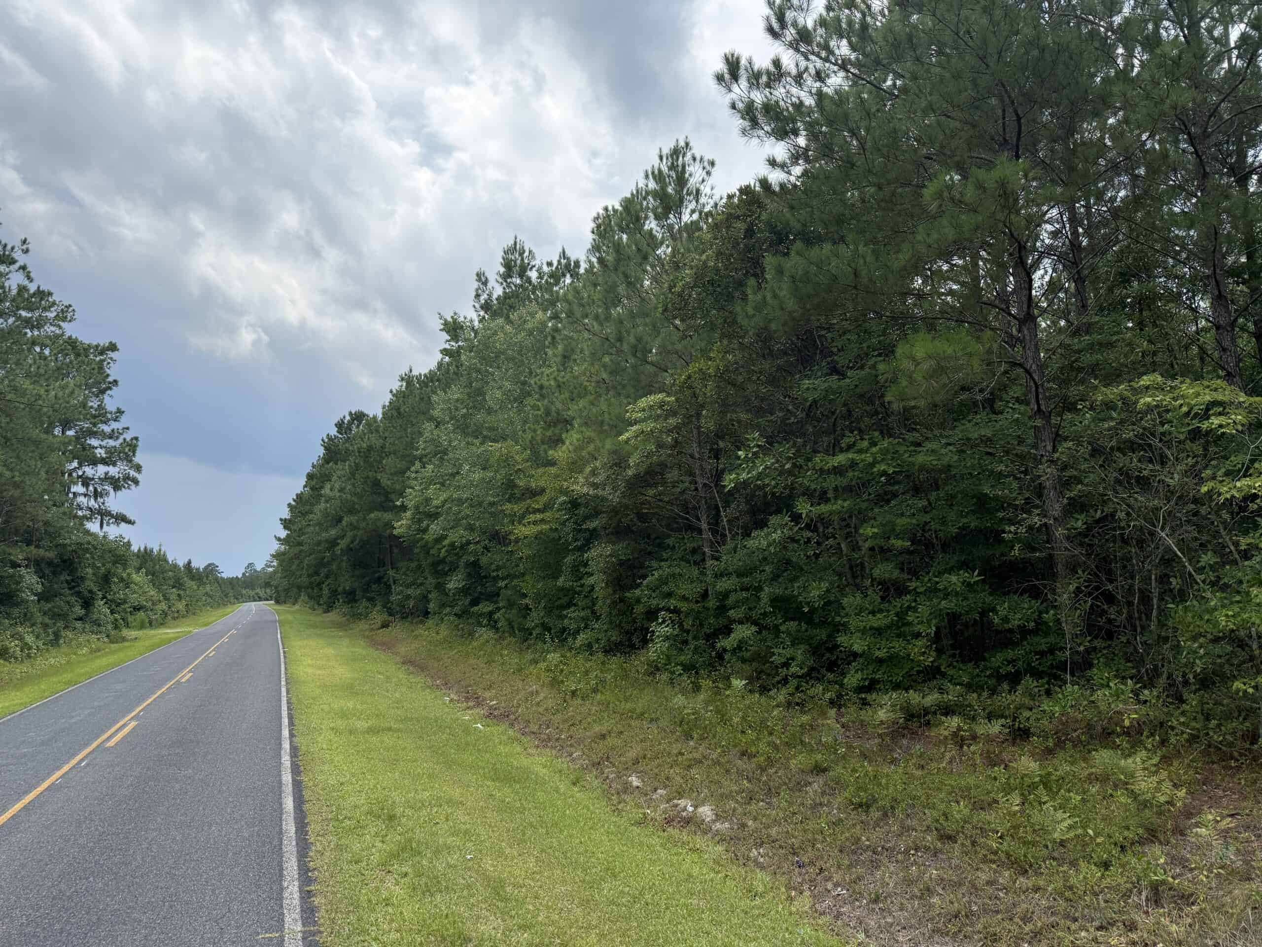 42-Acre Timber & Hunting Land for Sale in Edward, NC