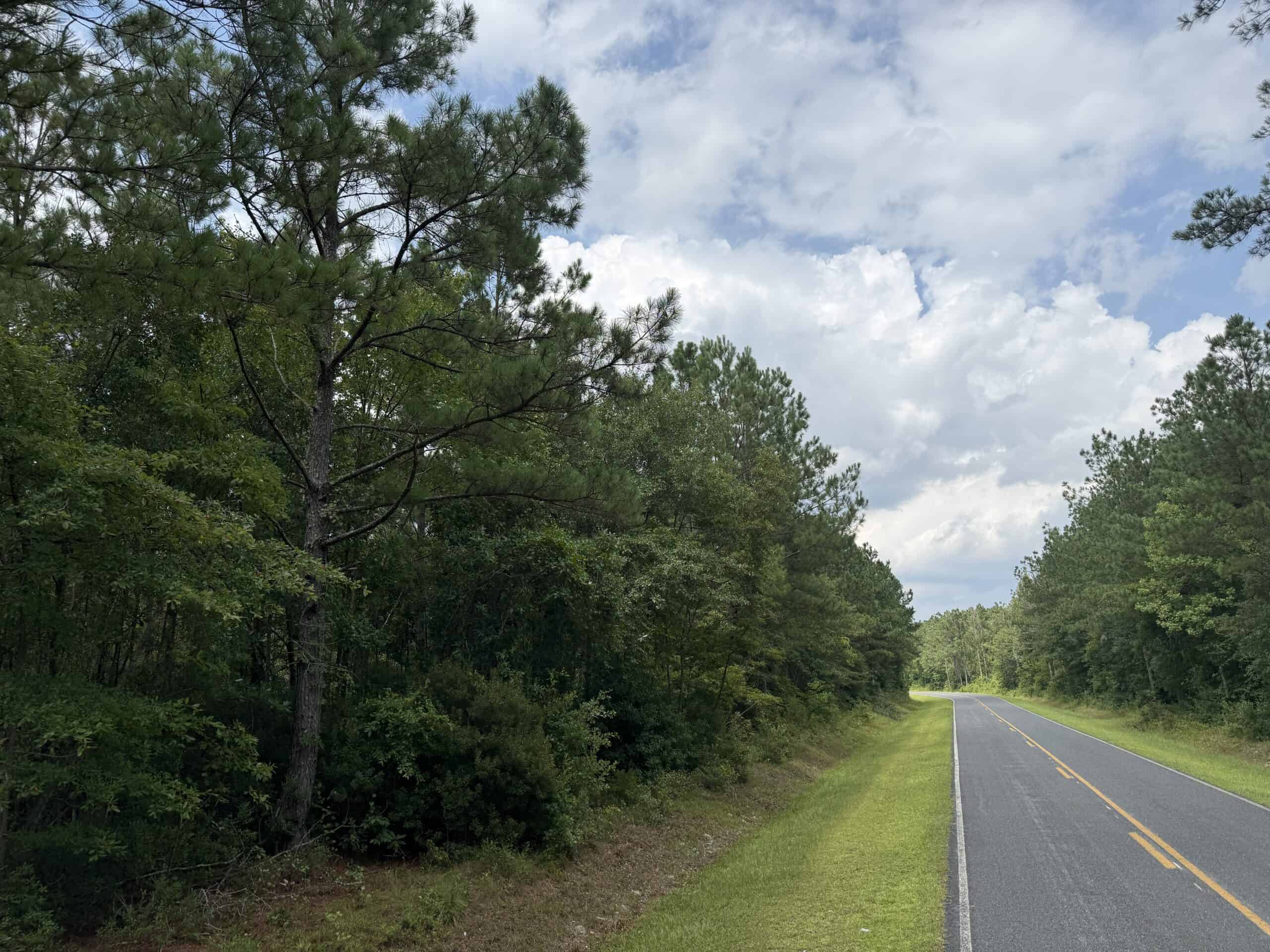 42-Acre Timber & Hunting Land for Sale in Edward, NC