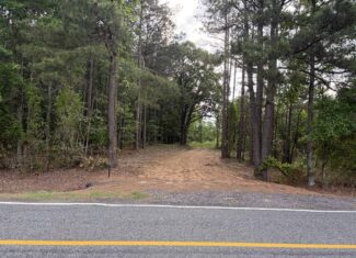 Scenic Wooded Acreage Near Lake Greeson & Murfreesboro