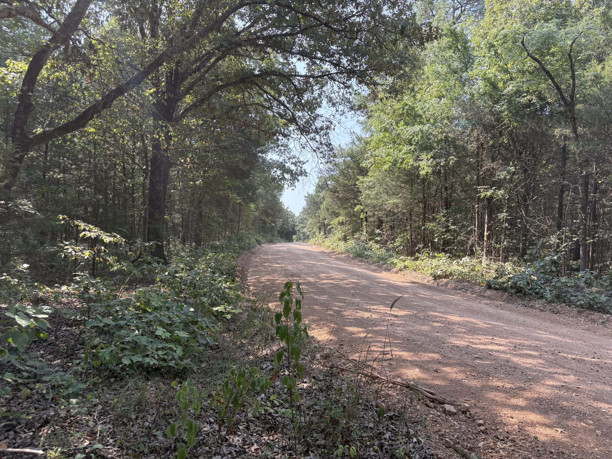 202 Acres of Prime Ozark Hunting Property