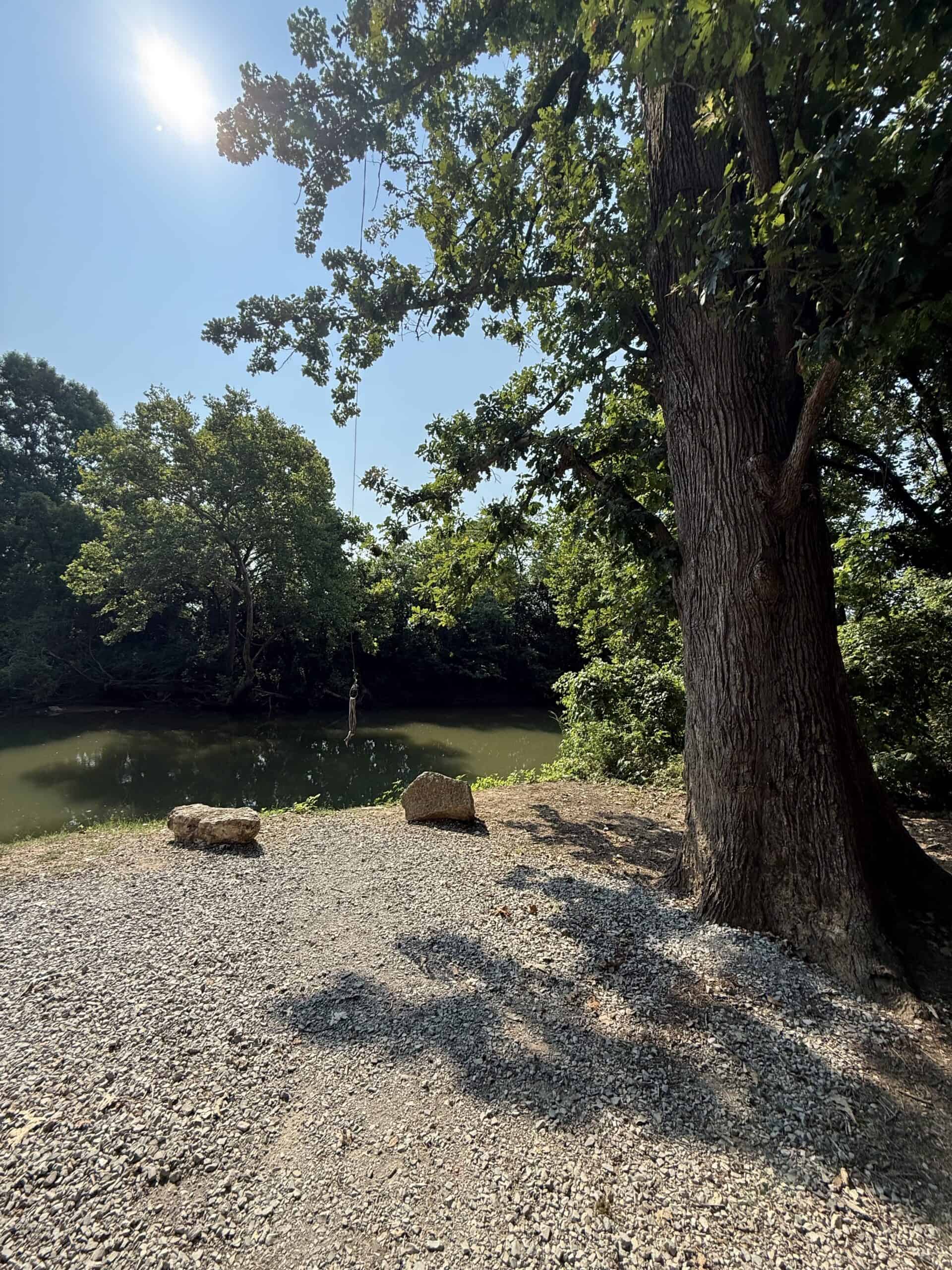 202 Acres of Prime Ozark Hunting Property