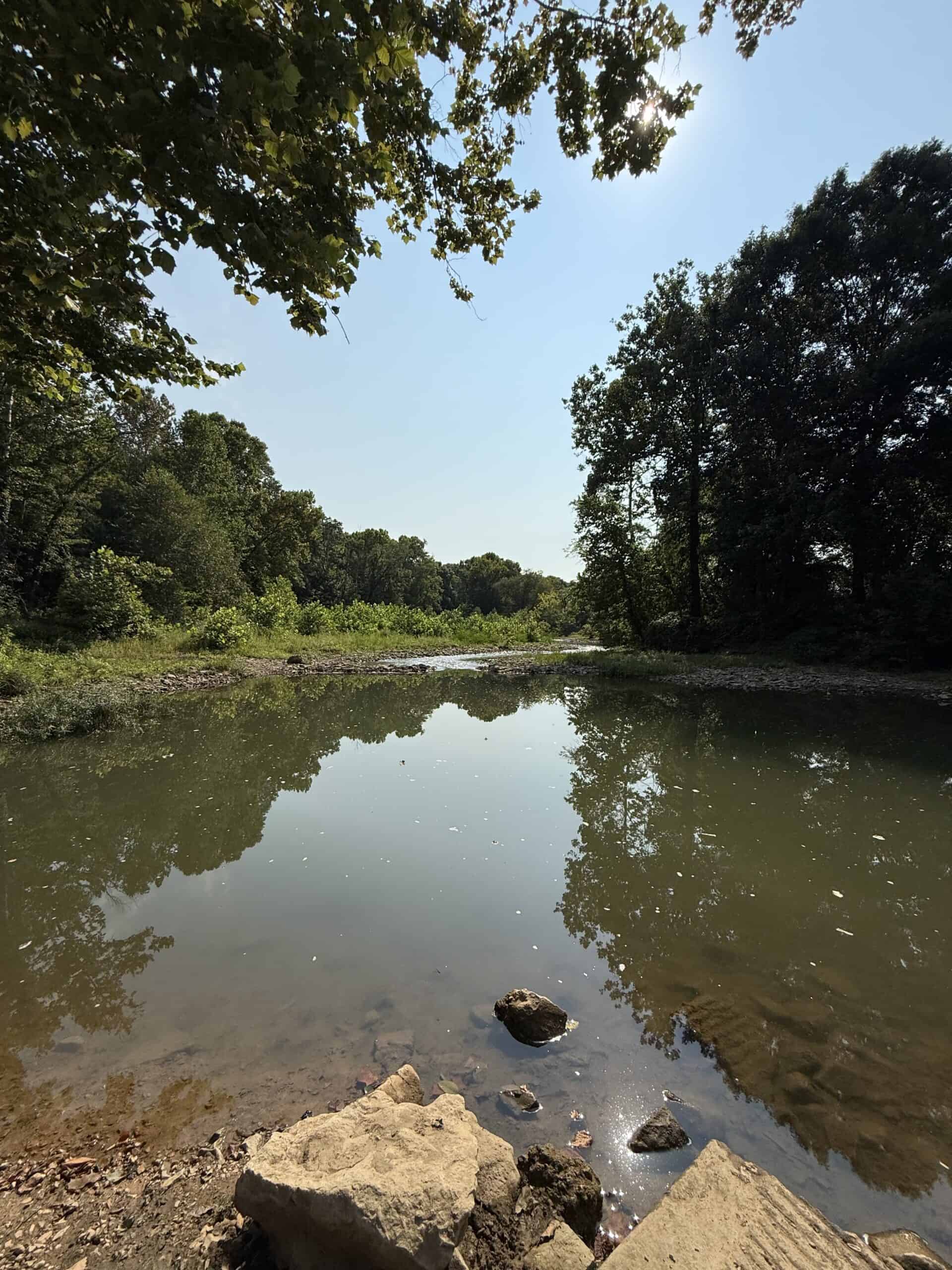 202 Acres of Prime Ozark Hunting Property