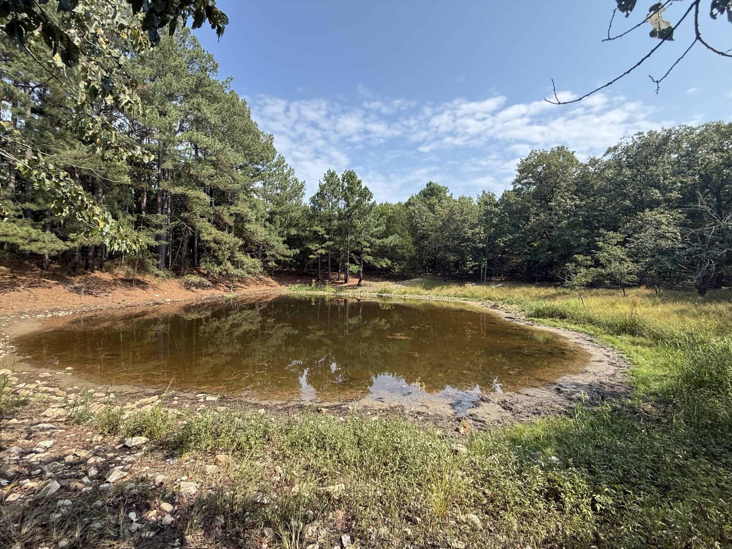 202 Acres of Prime Ozark Hunting Property