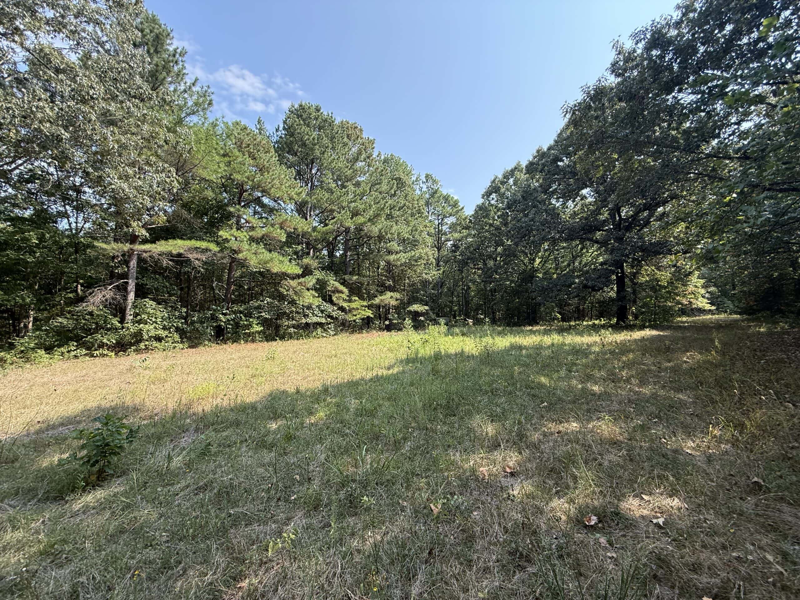 202 Acres of Prime Ozark Hunting Property