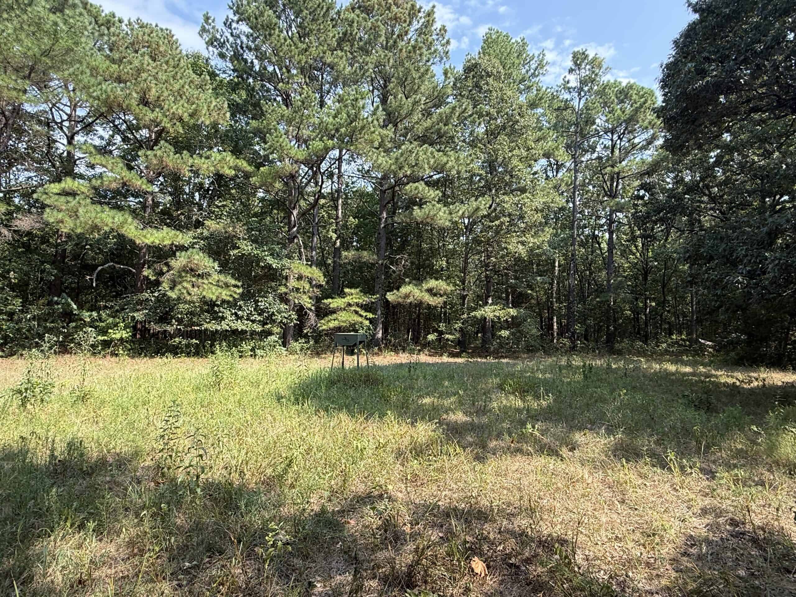 202 Acres of Prime Ozark Hunting Property
