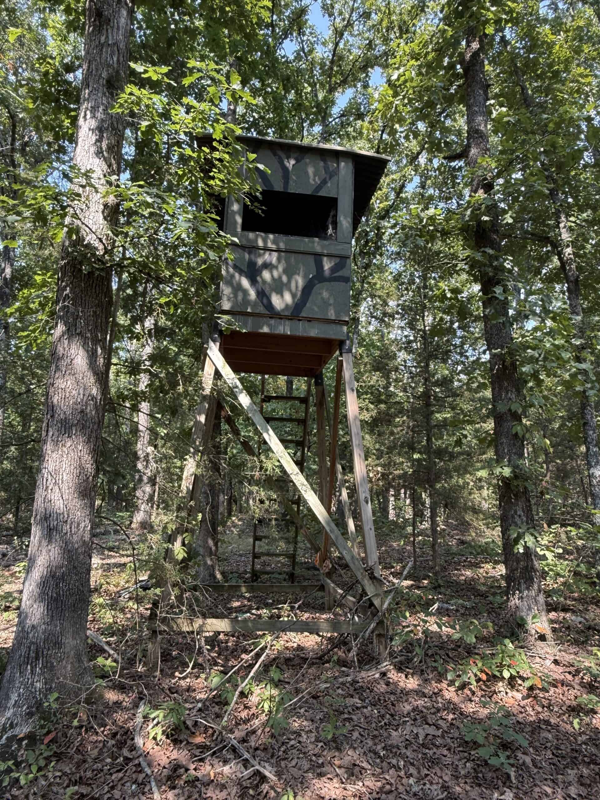 202 Acres of Prime Ozark Hunting Property