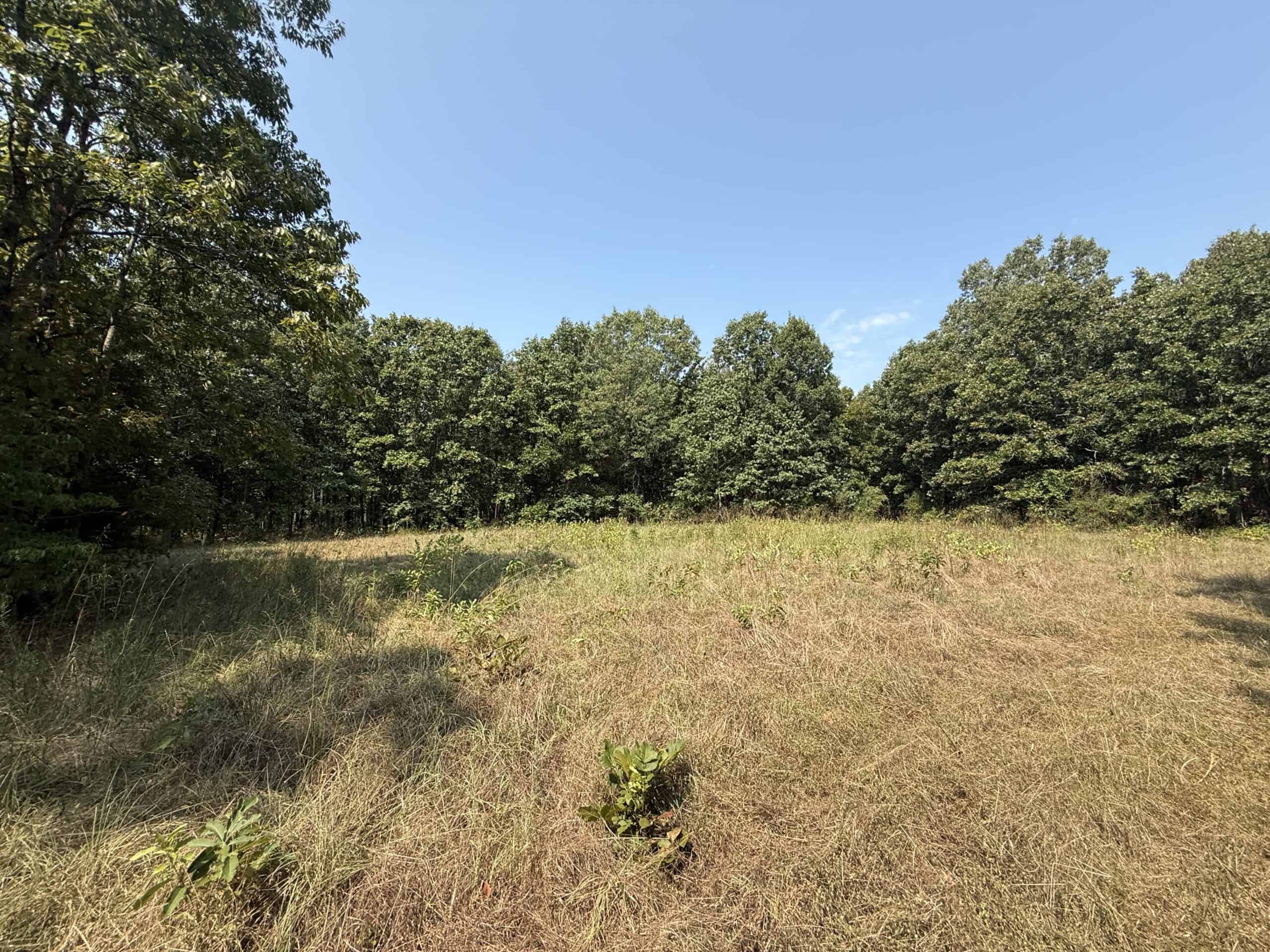 202 Acres of Prime Ozark Hunting Property
