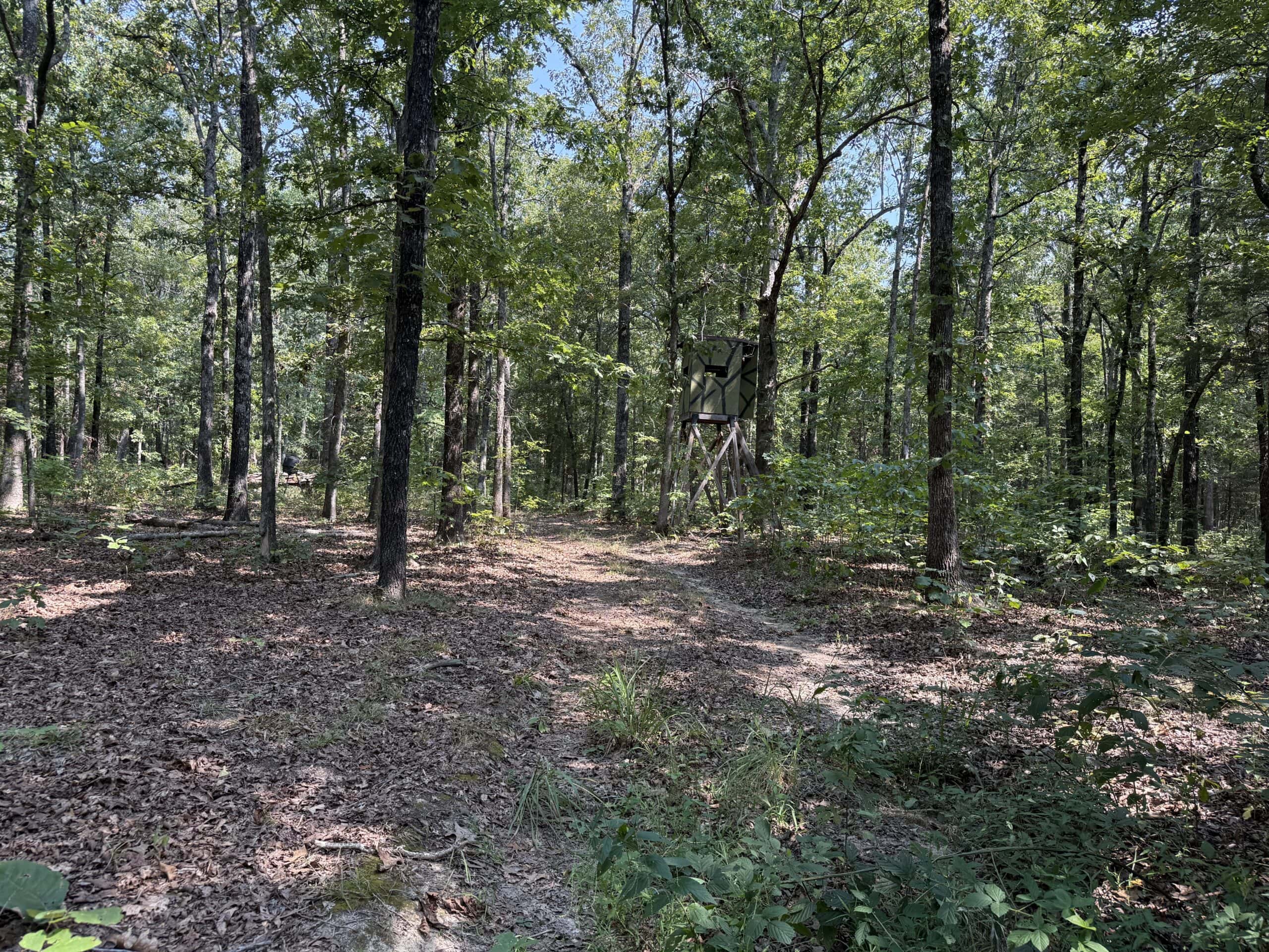 202 Acres of Prime Ozark Hunting Property